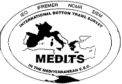 MEDITS - logo
